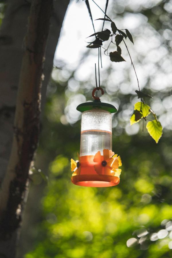 El Colibri Cabanas De La Naturaleza Трелью Экстерьер фото